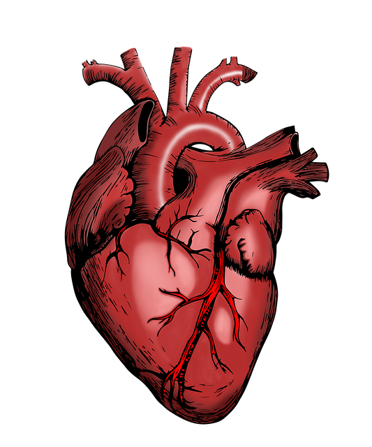 Современные методы терапии сердечно-сосудистых заболеваний