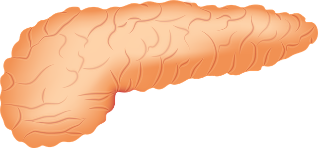 Методы лечения заболеваний эндокринной системы: обзор