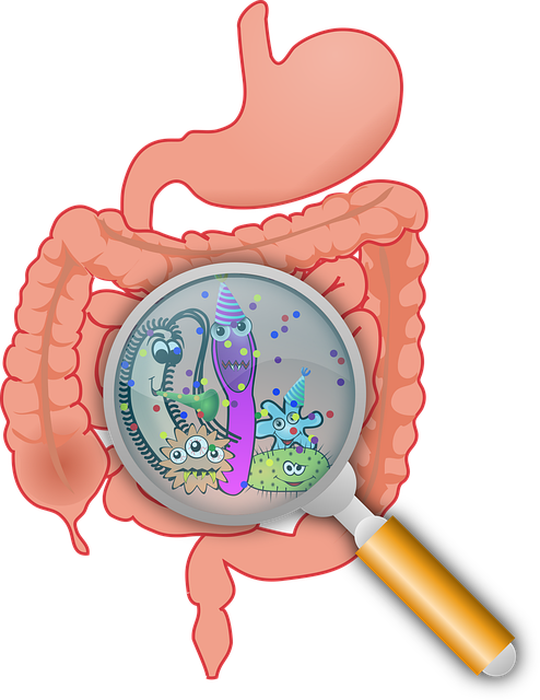 Эффективные методы медикаментозного лечения заболеваний желудочно-кишечного тракта
